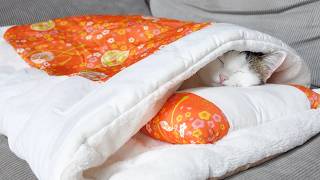 寒くてお布団から出たくないみり。-Miri doesn't want to get out of the futon because it's cold.-