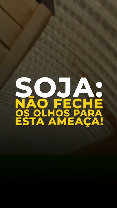 Soja: Não Feche Os Olhos Para Esta Ameaça!