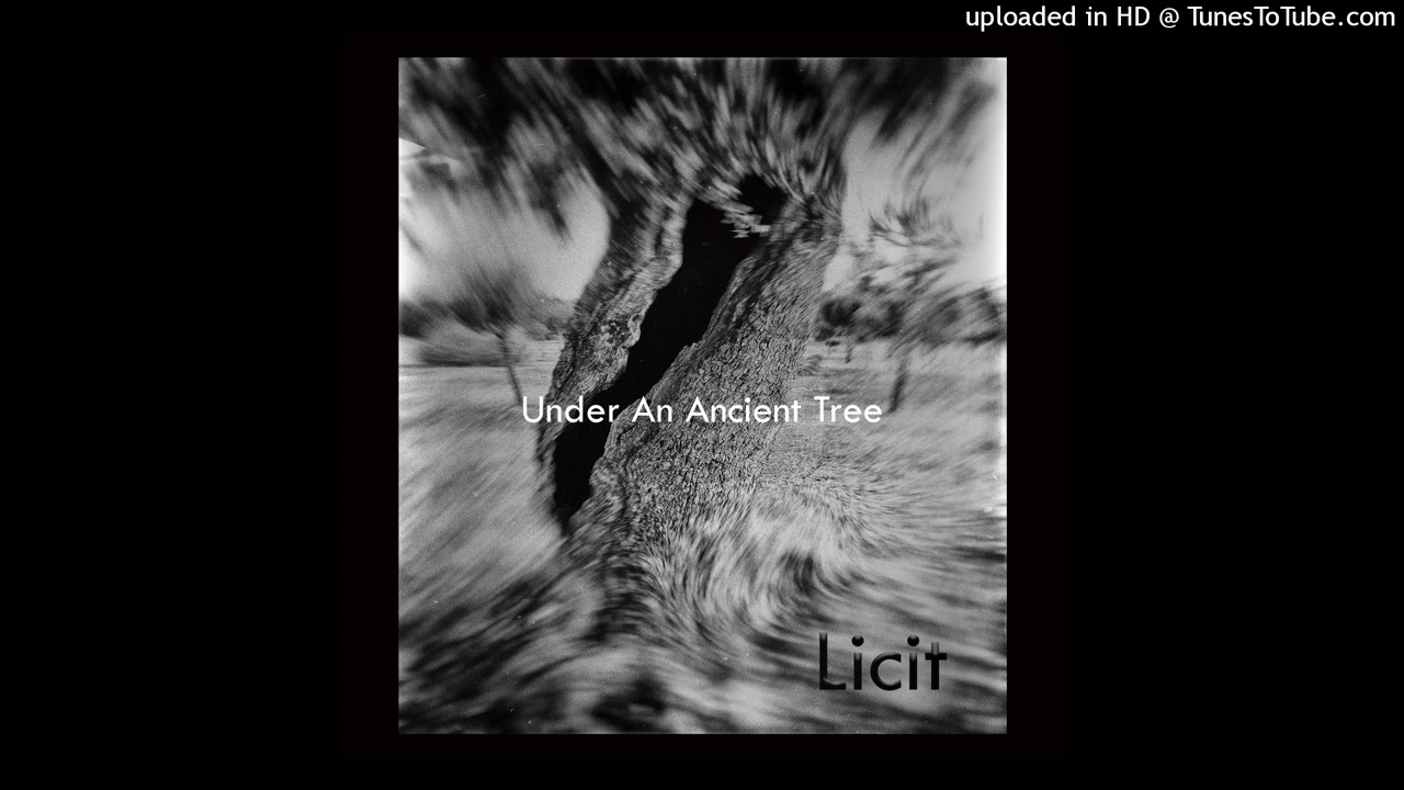 Licit - Bot Won't Stop (SUB_tl 079)