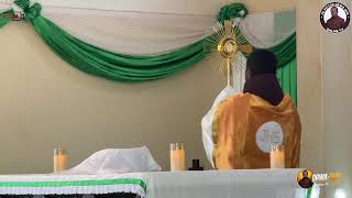 #LIVE:The Holy Eucharist At PIO Pietrelcina Toangoma Parish | Archdiocese of Dar es salaam.