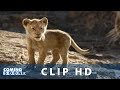 Il Re Leone (2019): Nuova Clip Italiana "Trova il tuo ruggito" - HD