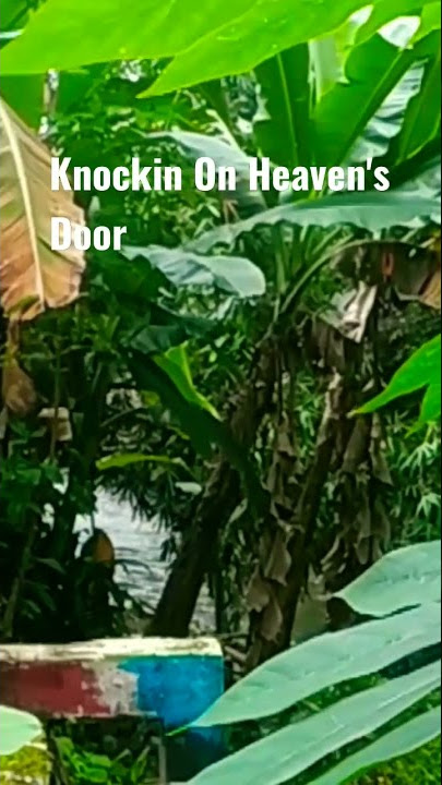 Cinematic story'''' wa knock'in on heaven's door gun's n roses#shorts