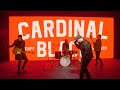 Cardinal Black - Tell Me How It Feels (Official Video)