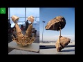 Top 100 Gravity Defying Sculptures That Will Make You Look Twice