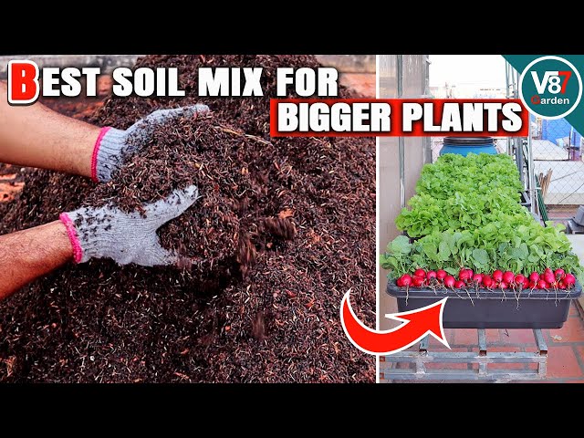 Soil Mix For Vegetable Garden
