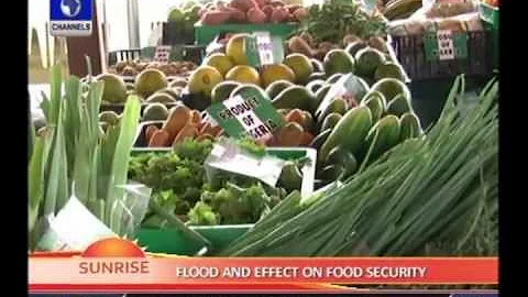 SUNRISE: Experts affirm that flood will not affect Nigeria's food security PT 2