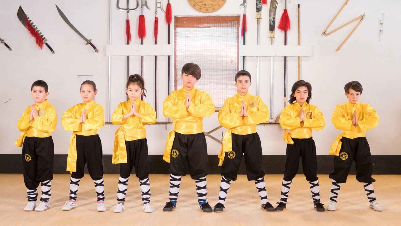 Shaolin Team Canada Intro Video Martial Arts Kung Fu Qi Gong 20180801