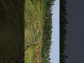 my pond please subscribe and like telling comment how is this 👿🥺❤️💪💖💖