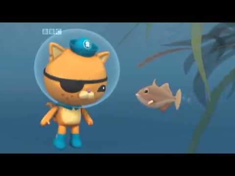 The Octonauts and The Growing Goldfish