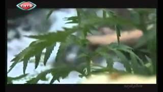 Ya Cemîl Û Ya Allah.wmv