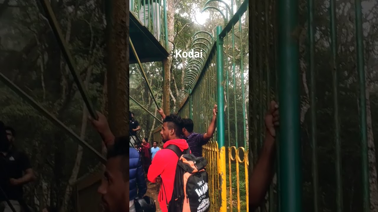 kodai nature 