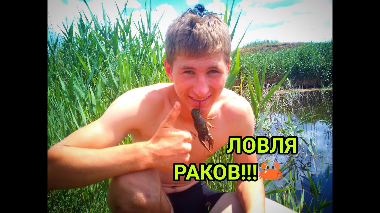 Можно и проще ловить раков в реке. Т******** на улице на речке Кубань.
