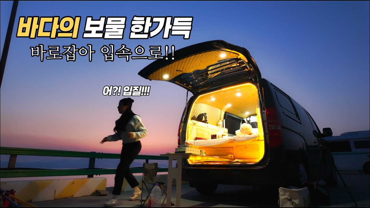 무료 방파제, 방금 잡은 회 신선한 해물들이 가득한곳!! 차박낚시여행🎣ㅣ스타렉스캠핑카