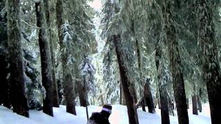 Timberline 2-10-2011