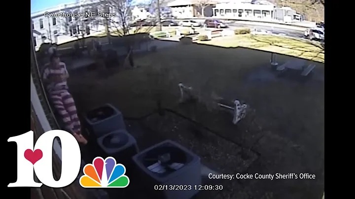 Inmate jumps out second story window to escape Cocke County Courthouse