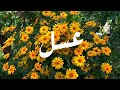 اغنية اسم سكون سكون