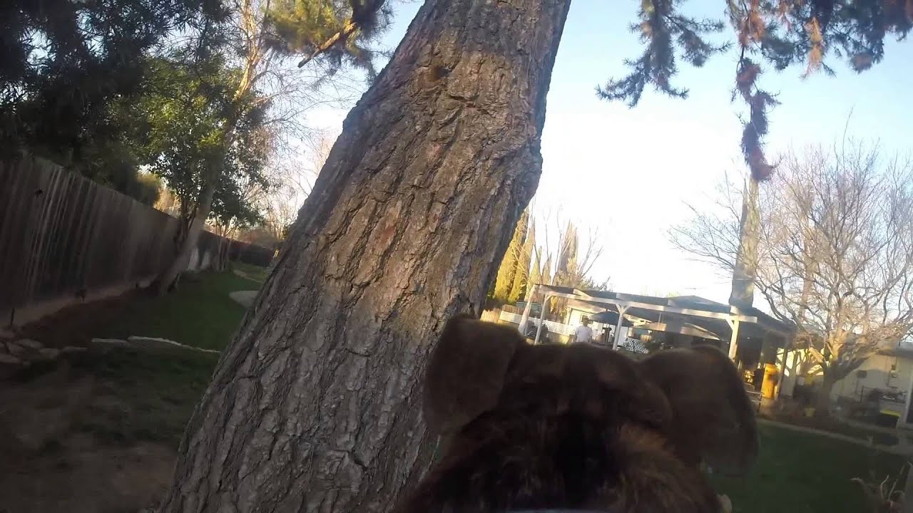 Majai's 1st GoPro Video camera iphone 8 plus apk