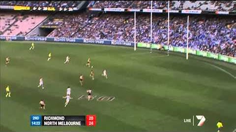 Roos on the run - AFL