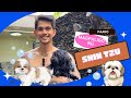 Paano paliguan ang shih tzu   carlo guevara vlogs