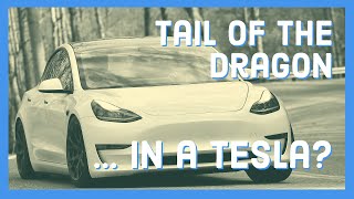 Tesla Model 3 Performance at Tail of the Dragon