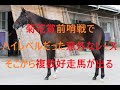 菊花賞の前哨戦で意外なレースがハイレベルだった そこから複数好走馬が出る