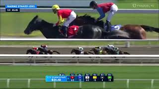 2026 $150,000 Marine Stakes (G3) at Woodbine