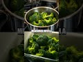 Microwaving Nutrients Myth Debunked In The Kitchen