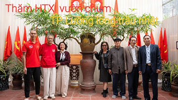 Thăm HTX Vườn chum xã Hoàng Vân tỉnh Bắc ninh năm 2025