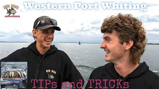 Westernport Whiting Tips & Tricks - Good Friday dinner sorted!