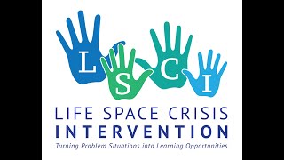 What is LSCI training?