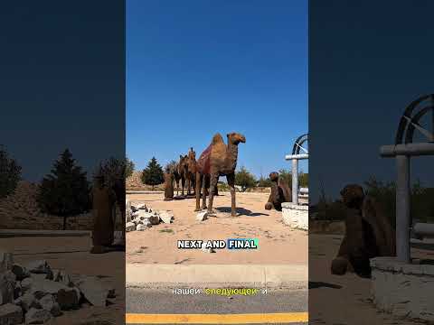 Video Shah-i-Zinda, Afrasiab Museum and Our Journey Home