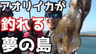 ＃１　エギング夢の島でアオリイカ対決！