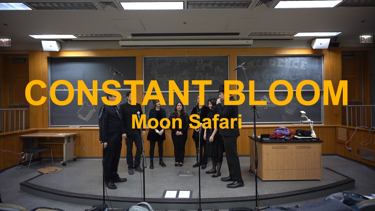 "Constant Bloom" by Moon Safari - Spot the Octopus for DeCadence A Cappella Fall 2019