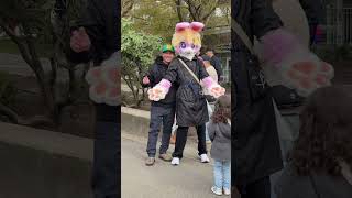 Fun facts about the Bunny!🧠💯😁 #bunny  #bunnyadventure