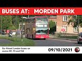 London buses at Morden Park 09/10/2021