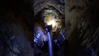 Skink Lizard POV: Micro-Camera Chase Through Underground Crevices