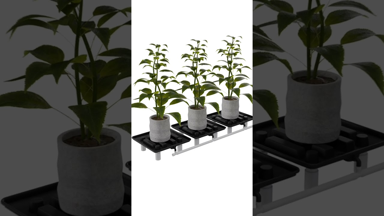 Cannlab Drain master – Höhenverstellbare Plattform fürs Grow-Zelt 🌿