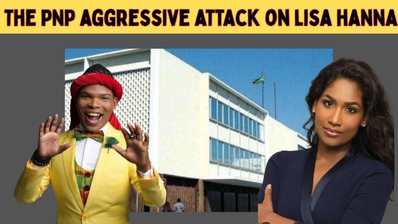 ННП агрессивно нападает на Лизу Ханну за то, что она признала низкий уровень преступности.