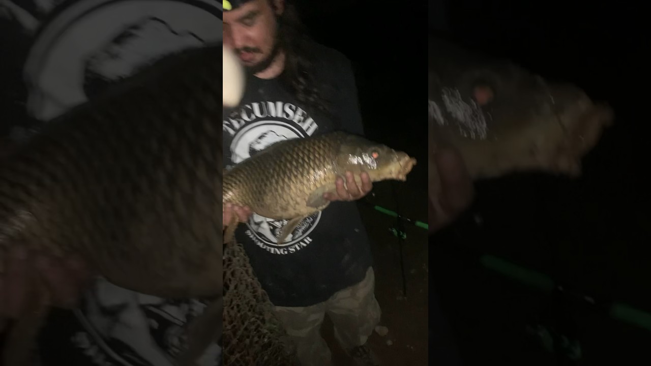 Nighttime carp fishing big 13lb pregnant Goldie carpfishing fishing 