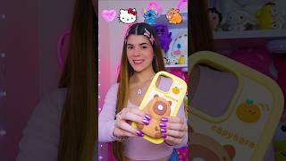 Capibara, Sch, Hello Kitty And Plush Cases