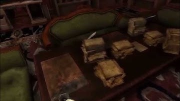 Amnesia Custom story the fugitive (ch 1) part 2