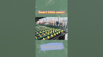 Smart little smart! Solve problems by yourself when you encounter them... #Shorts