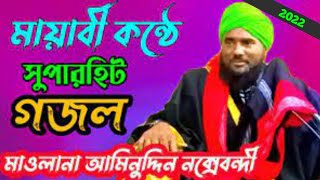 কাঁদে জয়নব কাঁদে কুলসুম||বক্তা- আমিনুদ্দিন রেজবি সাহেব