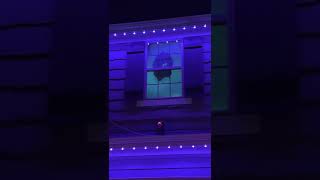 Haunted House fun with her boys by Patriot Beekeeper 103 views 5 months ago 4 minutes, 55 seconds