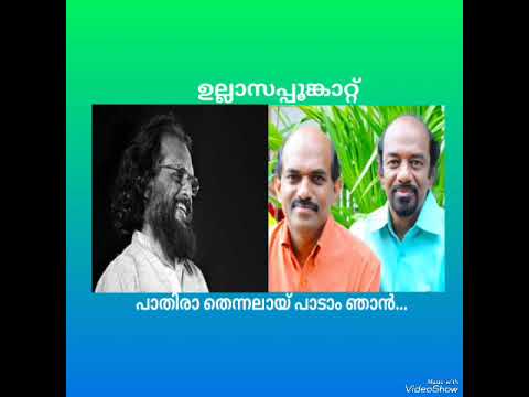 പാതിരാ തെന്നലായ് പാടാം ഞാൻ#suniljacobsongs #malayalamsongs