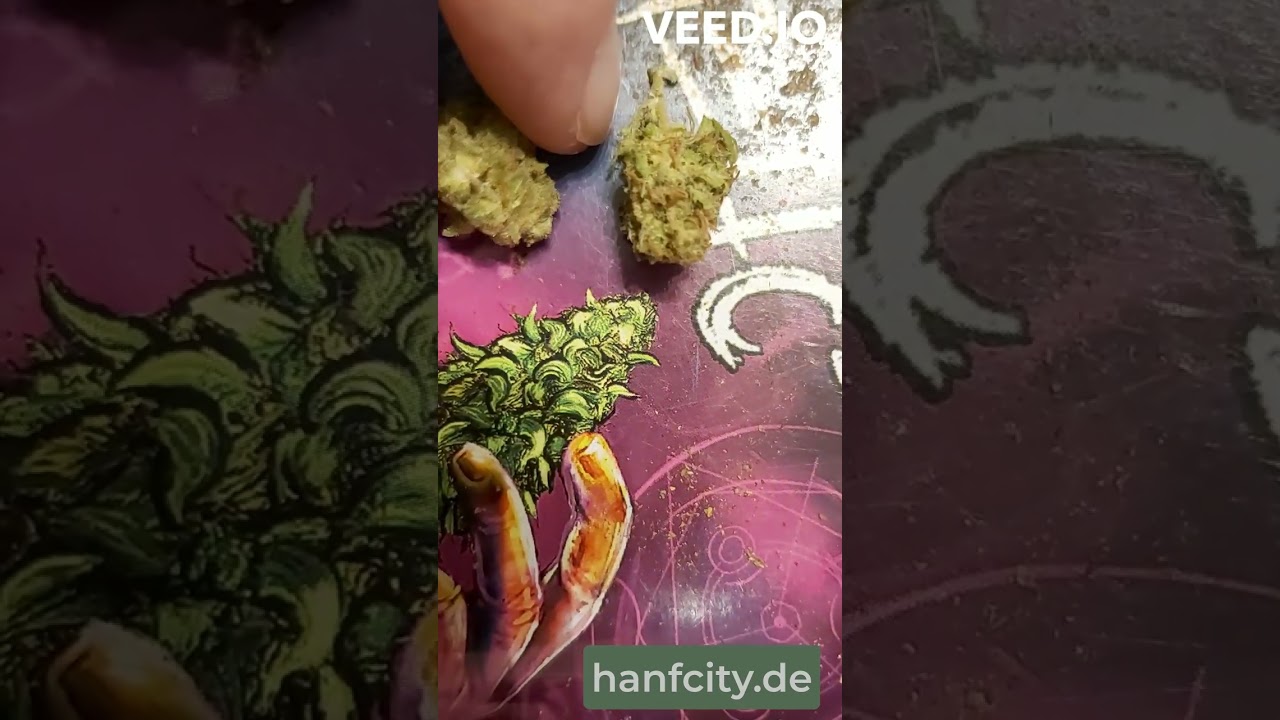 Bedrocan 22/1 Medizinisches Cannabis