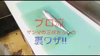 プロが教えるサンマのおろし方が凄かった Youtube