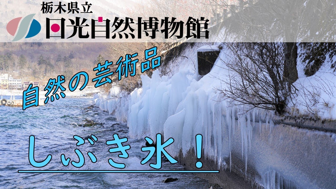 極寒の湖面で出会う芸術品 しぶき氷 22年1月5日 奥日光一分自然情報 Youtube 極寒の湖面で出会う芸術品 しぶき氷 22年1月5日 奥日光一分自然情報 Youtube