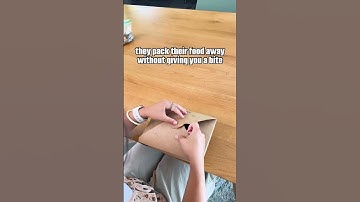 Red Flags My Human May Be Toxic