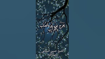 سورة الطارق الشيخ حسين السياغي رحمه الله #اكسبلور #قرآن #سورة_الطارق